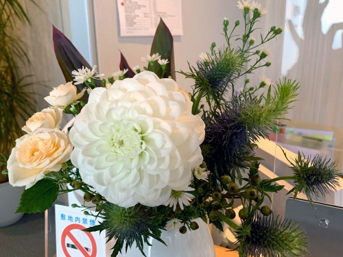 10月のお花たち