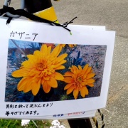 アートセラピーで看板作り
