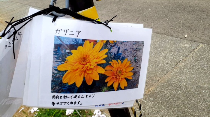 アートセラピーで看板作り アートセラピーで看板作り