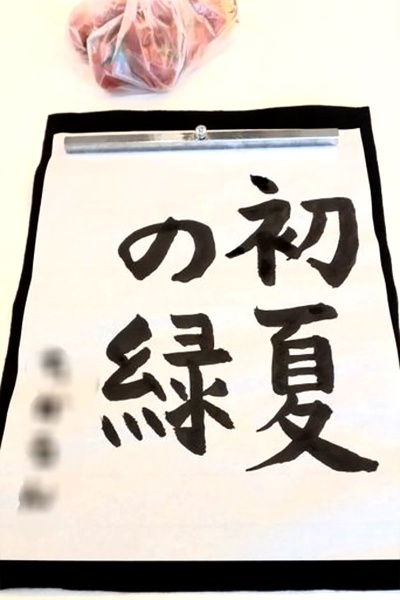 7月のマイオリーブ 7月のマイオリーブ