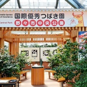 絵手紙展見学