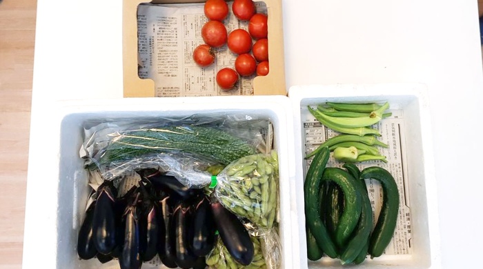 農家さんの新鮮野菜