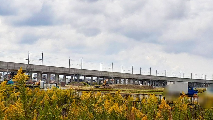 お散歩プログラム お散歩プログラム