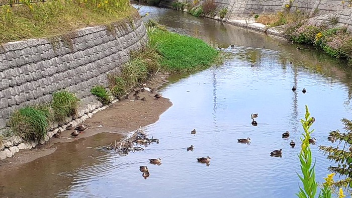 お散歩プログラム お散歩プログラム