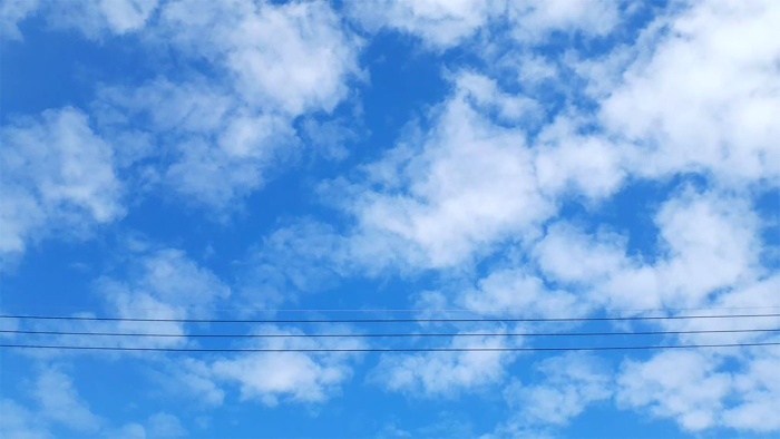 お散歩プログラム お散歩プログラム