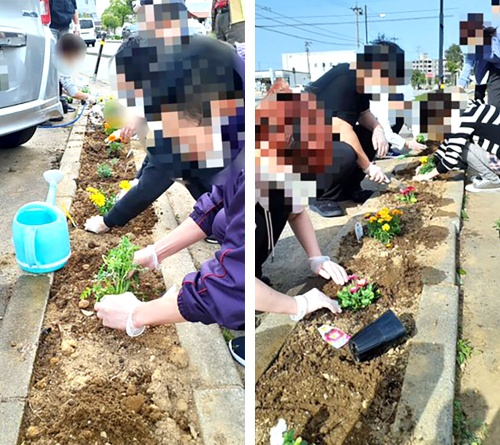 オリーブガーデンのお花たち オリーブガーデンのお花たち