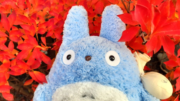 写メってみよう 写メってみよう