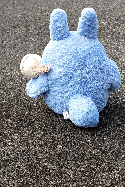 写メってみよう 写メってみよう