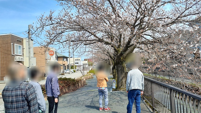 花見