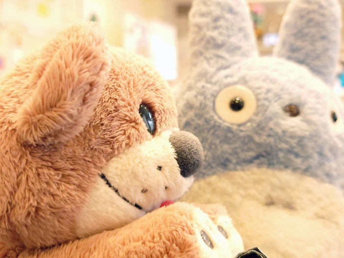 写メってみよう 写メってみよう