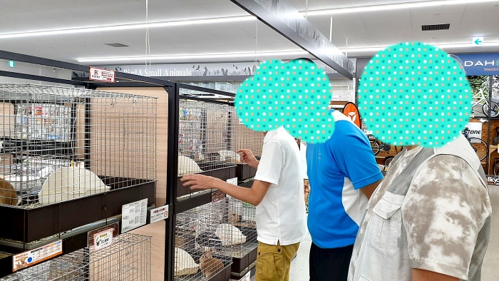 お出かけプログラム